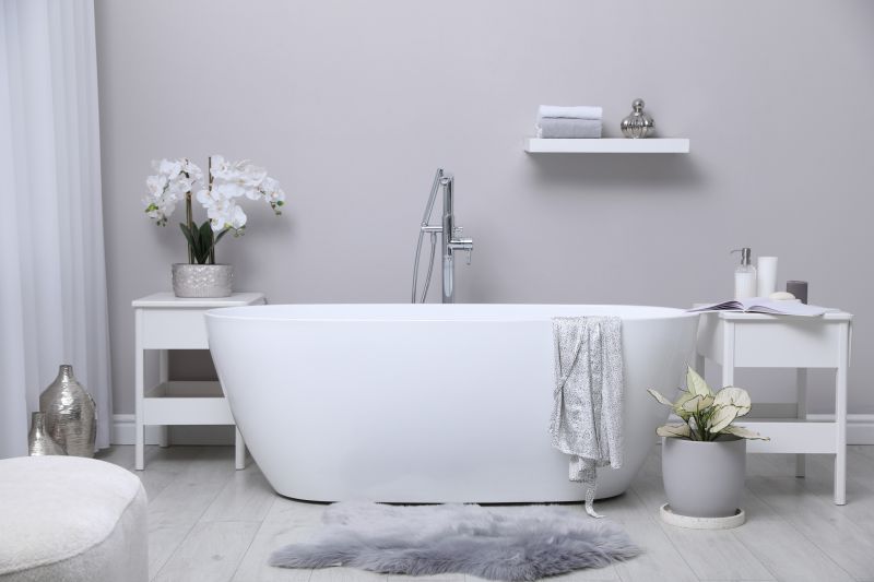 Freestanding Tub with Fixtures